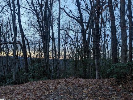 Land for sale in Greenville County, South Carolina