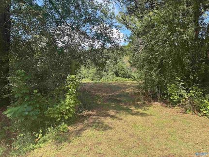 Land for sale in Marshall County, Alabama