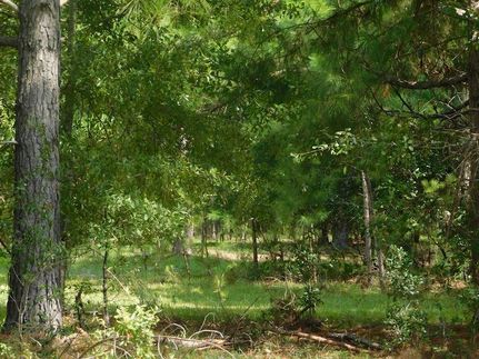 Land for sale in Evans County, Georgia