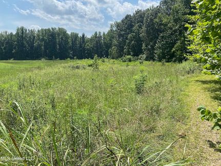 Land for sale in Marshall County, Mississippi