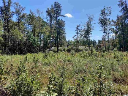 Land for sale in Williamsburg County, South Carolina