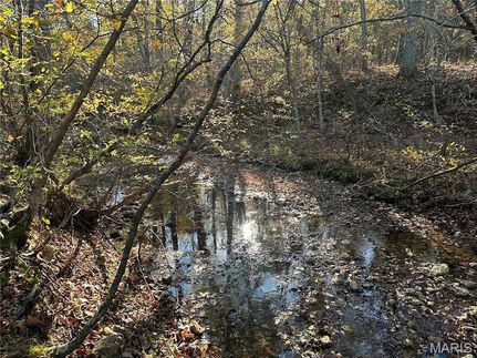 Land for sale in Iron County, Missouri