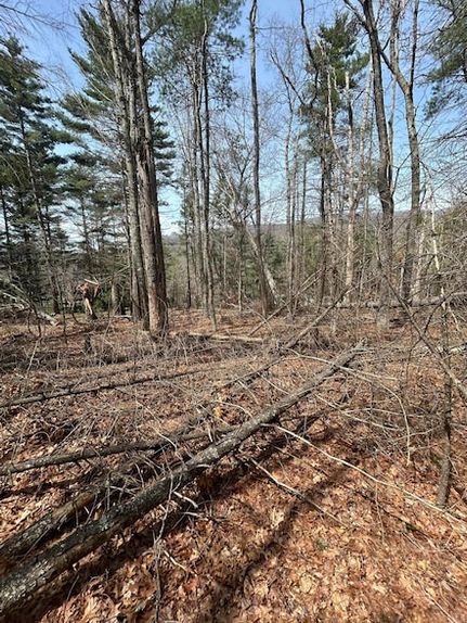 Undeveloped Land for sale in Monroe County, West Virginia