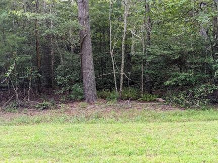 Land for sale in Clay County, North Carolina