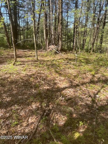 Homesite for sale in Lycoming County, Pennsylvania