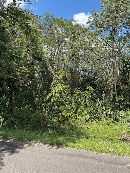 Land for sale in Hawaii County, Hawaii