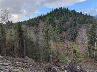 Land for sale in Pacific County, Washington