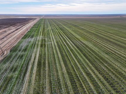 Land for sale in Stanley County, South Dakota