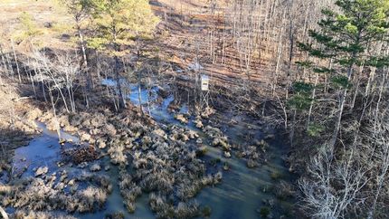 Land for sale in Union County, Mississippi