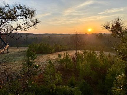 Hunting Property for sale in Yalobusha County, Mississippi