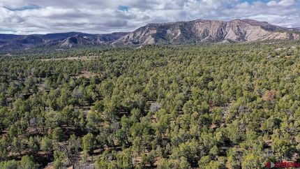 Land for sale in La Plata County, Colorado