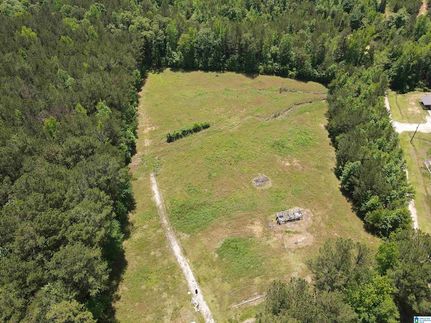 Land for sale in Clay County, Alabama