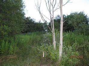 Land for sale in Chenango County, New York