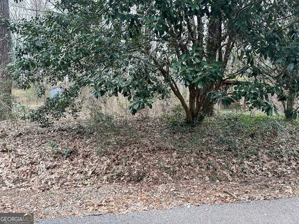 Land for sale in Henry County, Georgia