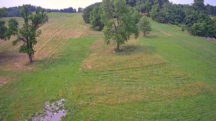 Land for sale in Bedford County, Tennessee