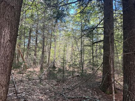 Land for sale in Lincoln County, Maine