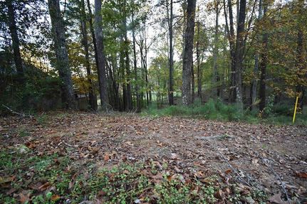 Land for sale in Cullman County, Alabama