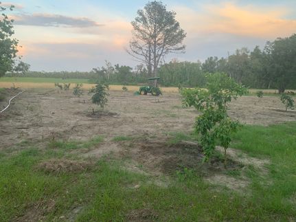 Land for sale in Madison County, Florida