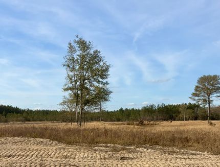 Land for sale in George County, Mississippi