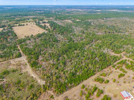 Land for sale in Walker County, Texas
