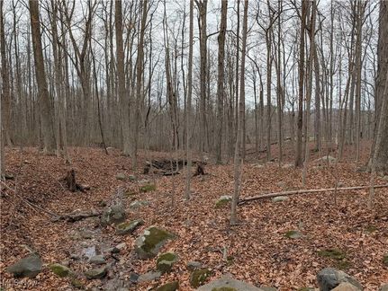 Undeveloped Land for sale in Geauga County, Ohio