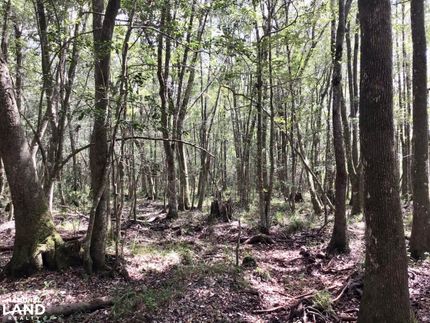 Land for sale in Washington County, Alabama