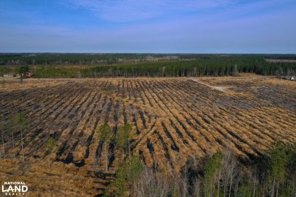 Land for sale in Pitt County, North Carolina