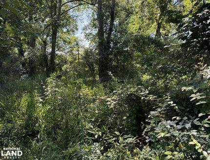 Land for sale in Richland Parish, Louisiana