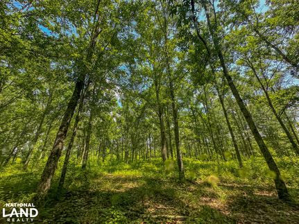 Land for sale in Bibb County, Alabama