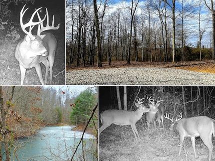 Land for sale in Perry County, Ohio