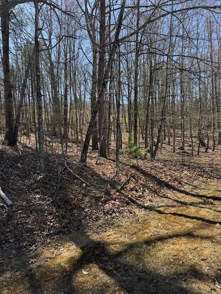 Homesite for sale in Franklin County, Virginia