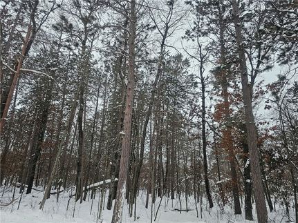 Homesite for sale in Burnett County, Wisconsin