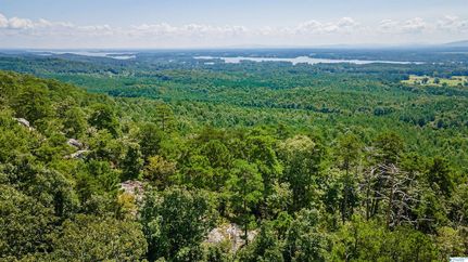 Land for sale in Cherokee County, Alabama