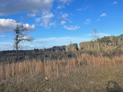 Land for sale in Jefferson Davis County, Mississippi