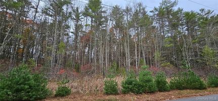 Land for sale in Sullivan County, New York