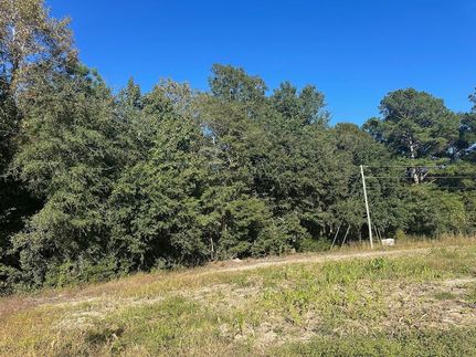 Land for sale in Berkeley County, South Carolina