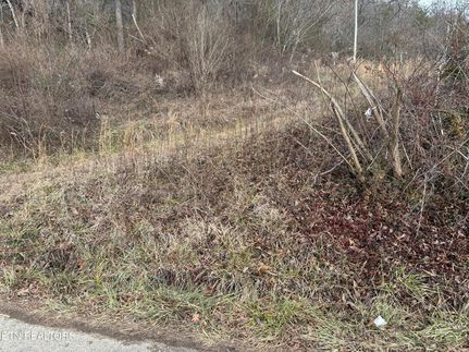 Land for sale in Scott County, Tennessee