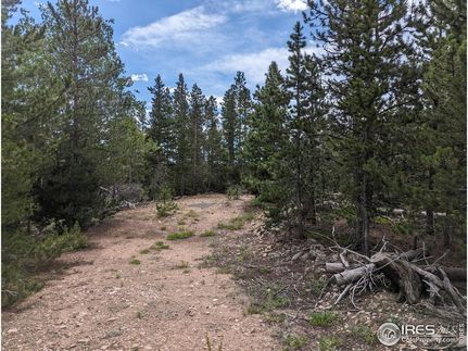 Land for sale in Larimer County, Colorado