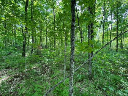 Land for sale in Iron County, Michigan
