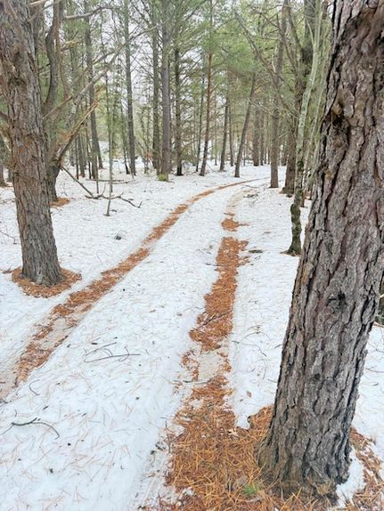 Homesite for sale in Muskegon County, Michigan