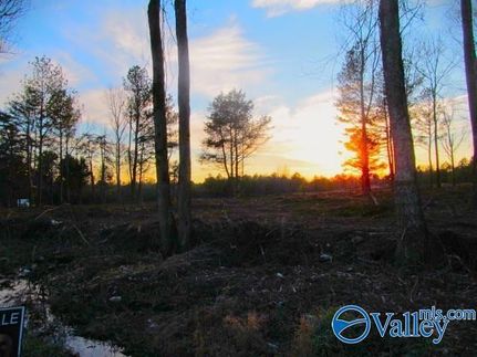 Land for sale in Marshall County, Alabama
