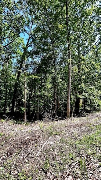 Land for sale in Hardeman County, Tennessee