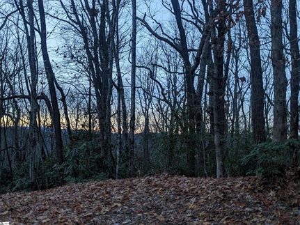 Land for sale in Greenville County, South Carolina