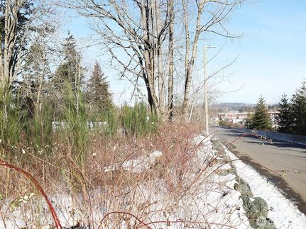 Land for sale in Whatcom County, Washington