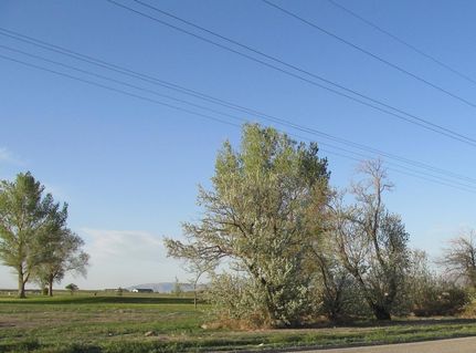 Homesite for sale in Beaver County, Utah