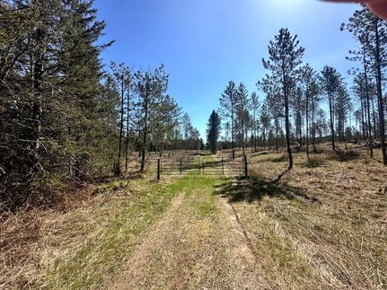 Land for sale in Vilas County, Wisconsin