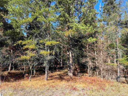 Homesite for sale in Crawford County, Michigan
