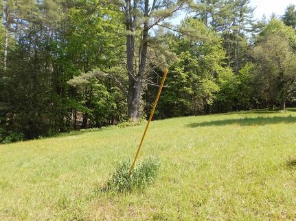 Undeveloped Land for sale in Rutland County, Vermont