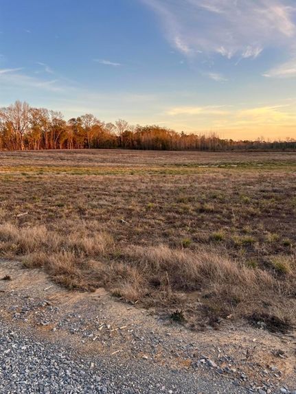 Land for sale in Wayne County, Mississippi