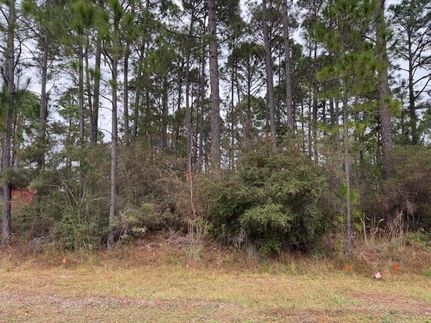 Land for sale in Santa Rosa County, Florida